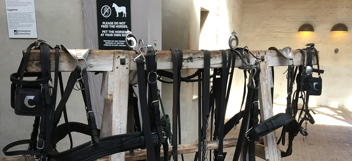 Equine equipment