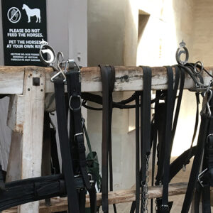 Equine equipment