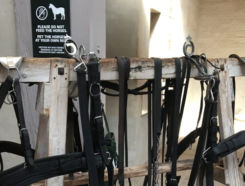 Equine equipment